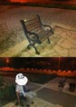 /album/fotos/forever-alone-jpg/